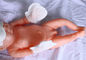 Guanti eliminabili L dimensione della mano del neonato dei prodotti del bambino dei tessuti non di S fornitore